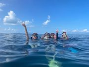 シュノーケル❣️