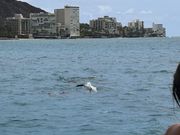 アザラシにも遭遇！