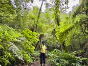 金作原原生林にて