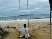 椰子の木ブランコ