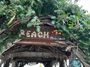 映えスポットあり！