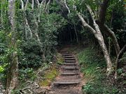 トトロの森（足元注意！）