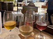 おシャンティですが、私には合わない