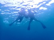 水中から撮影頂きました🐠