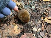 癒しの小動物♪