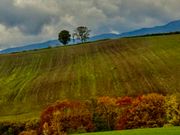 車窓〜キルトの丘