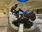 いつものカメの前