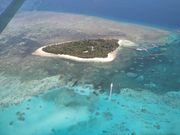 グリーン島です