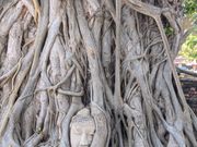 ワット・マハタート