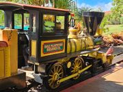 パイナップルの楽園を巡る小さな冒険