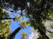 金作原トレッキング