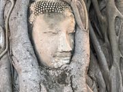 ゾクゾクするほど神秘的