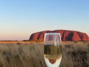 シャンパンに移る逆さうるるとミニうるる