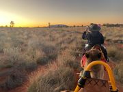 ウルルとサンセットとラクダ