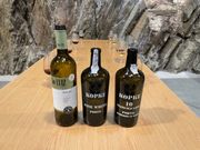 3種類のワインを試飲