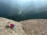 昨日歩いたトロッコ道の隣を流れる安房川がはっきり見えてびっくり！
あの距離を歩いたんだね！