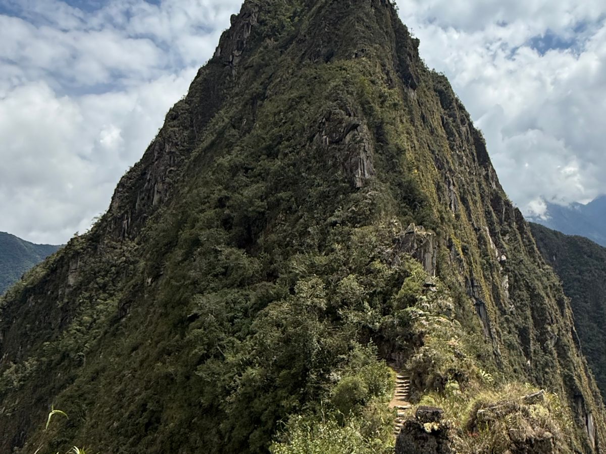 参加者のレビュー一覧) マチュピチュ遺跡 | ペルーの観光