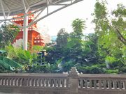 この右手側に札を持っている人たちがいます