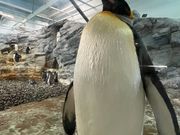 黙ってても可愛い♡