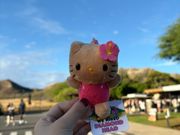 入り口のお土産屋さんで購入した日焼けキティ