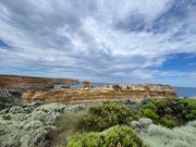 レイザーバック