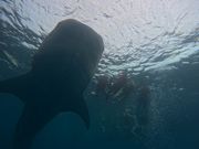 こんな素敵な写真撮ってもらえて大満足！！