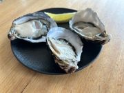 美味しい本場の生牡蠣