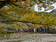 白川郷であい橋