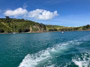 フェリーからの眺め