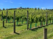 訪れたワイナリー