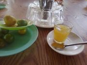 ハチミツ園のハチミツティー