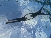 ウミガメシュノーケル