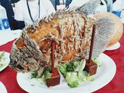 エレファントフィッシュ🐟️タンパクやけど美味しかった〜