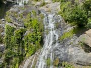 キュランダ鉄道から