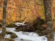 渓流のマイナスイオンに癒される