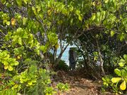 木々のトンネルを抜けると