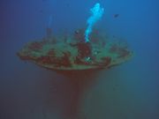 ホヌ、ウツボ、サメなどがみられる沈船に案内してもらいます。