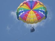 ガイドさんが船から取ってくれました