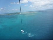 すごく高いです！