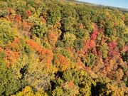 飛び立ってすぐの景色。紅葉綺麗