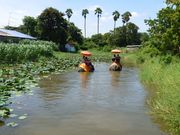 ゾウに乗って川を渡りました。