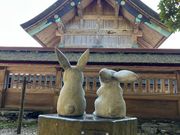 フォトスポットもバッチリご案内