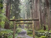平泉寺白山神社