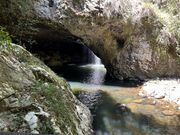 ナチュラルブリッジ