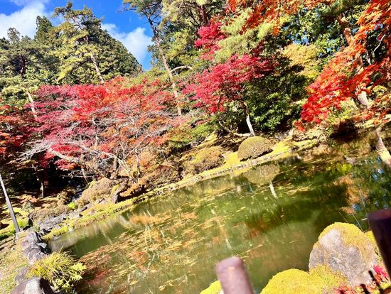 日光東照宮のモミジが素敵でした。バスのガイドさんのバスの中のお話も聞けて楽しかったです！