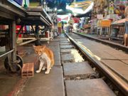 雑貨系のお土産は市場が底値な気がしてる^^