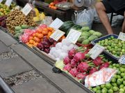 日本にない食材も見どころ