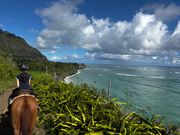 海岸が見える道も