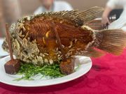 昼食の象耳魚です。