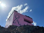 ピンクピルボックス